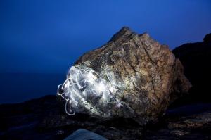 998107_10152044193892065_742273097_n