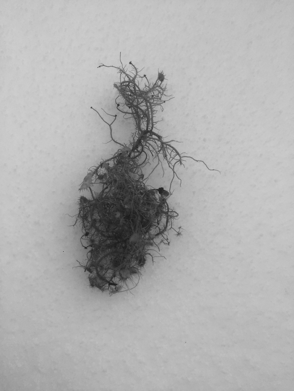 1DC31B2C-137D-411B-B243-6DE87221EEC4