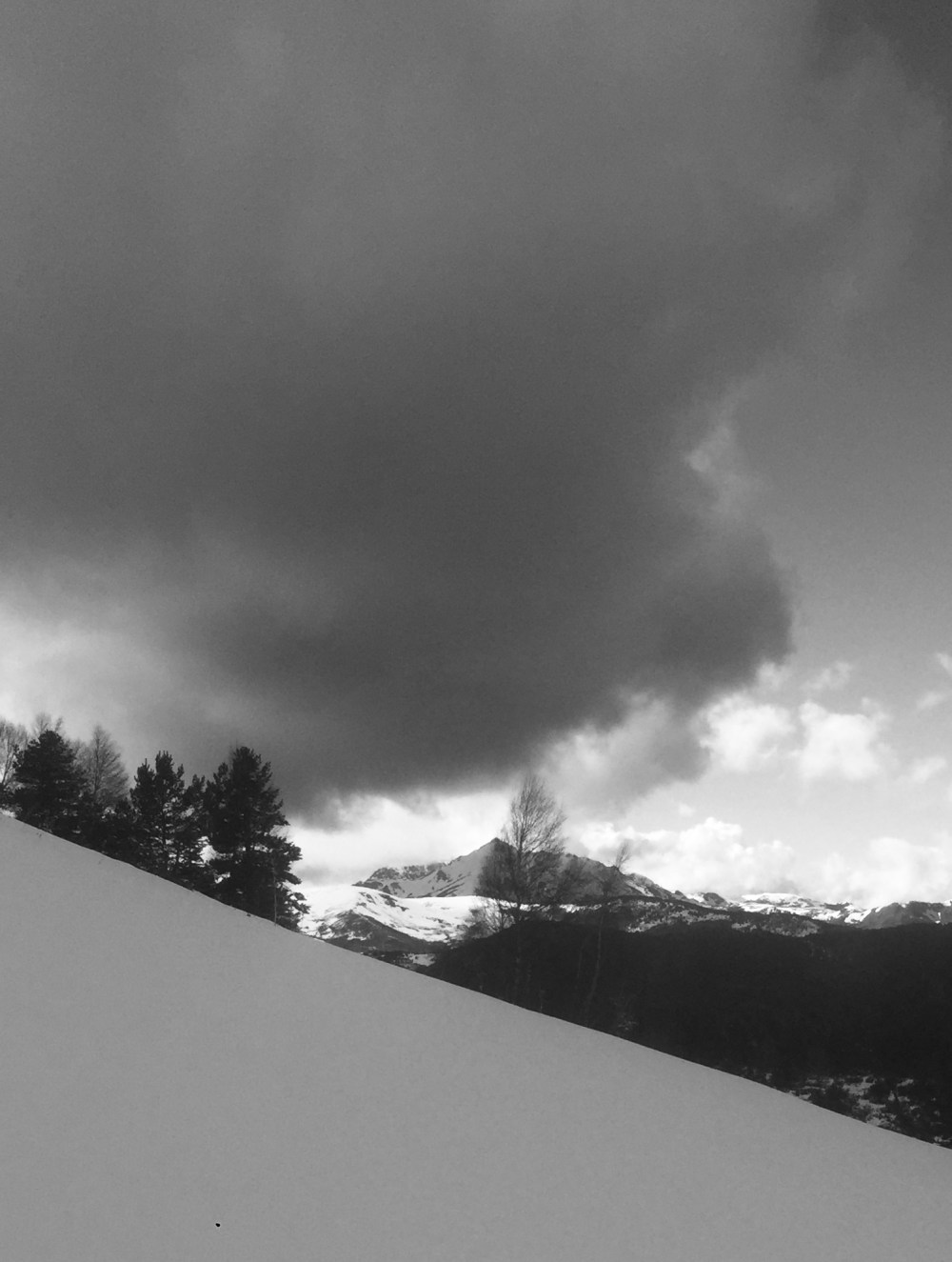 2AF69C84-93EB-4673-B586-2B52C9D35EE0